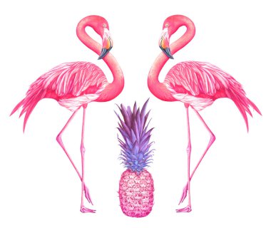 Beyaz arka plan üzerinde izole pembe ananas ile iki suluboya flamingolar. 
