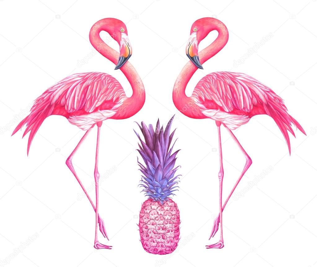 Two watercolor flamingos with pink pineapple isolated on white background. 
