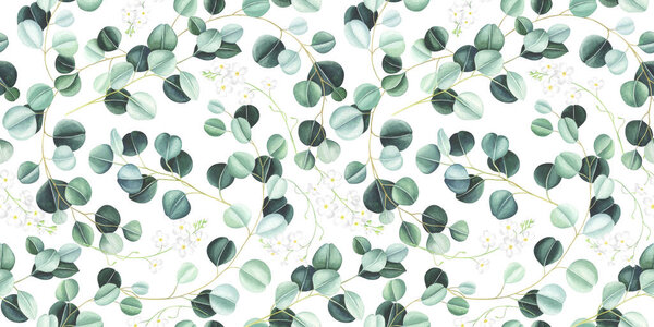 Seamless pattern with eucalyptus leaves and little white flowers on white background. Watercolor hand drawn illustration.