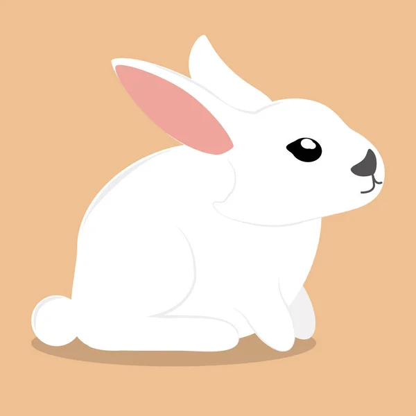Coelhinho branco bonito — Vetor de Stock