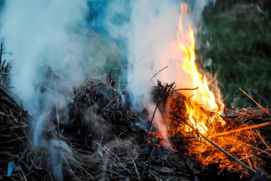 Ateş, doğa, orman, şenlik ateşi, duman
