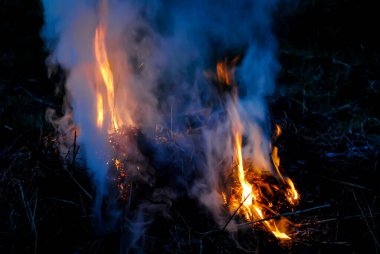 Ateş, doğa, orman, şenlik ateşi, duman