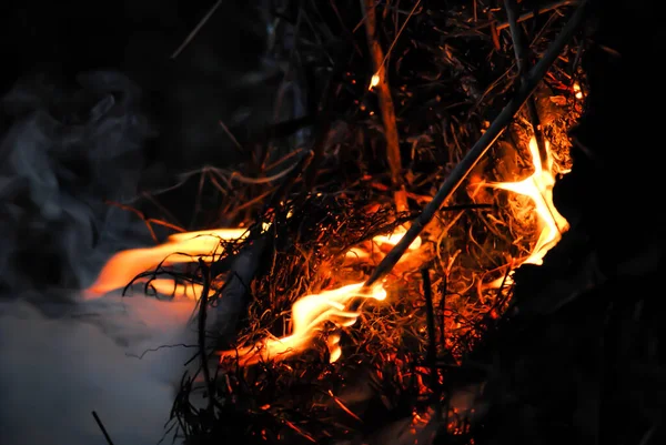 Вогонь Природа Ліс Вогонь Дим — стокове фото