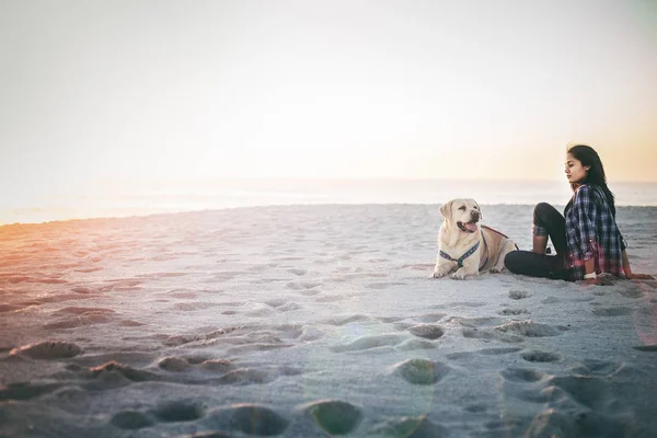 Lány ül a kutya a strandon — Stock Fotó