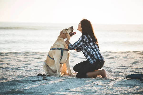 해변에 강아지와 함께 재생 하는 여자 — 스톡 사진
