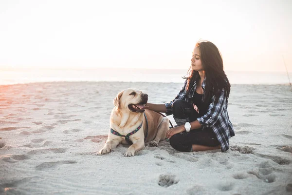 Köpek ile sahilde oturan kız — Stok fotoğraf