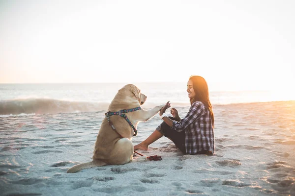 해변에 강아지와 함께 재생 하는 여자 — 스톡 사진