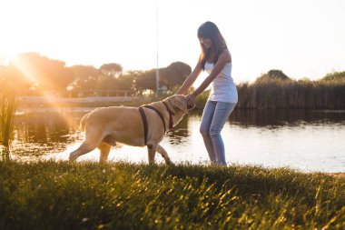 genç kadın Labrador köpekle oynamayı
