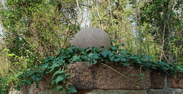 Кам'яна куля на стіні в оточенні плюща — стокове фото