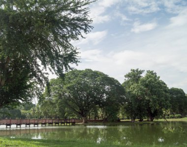 sukhothai tarihsel parkta Gölü