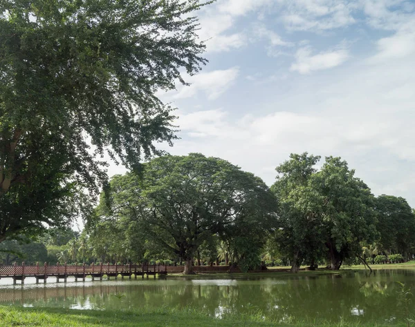 Lago no parque histórico em sukhothai — Fotografia de Stock