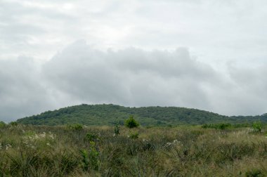 Gidiş-dönüş Tayland Temmuz 2017 - Chiang Rai, Akha yarış doğada