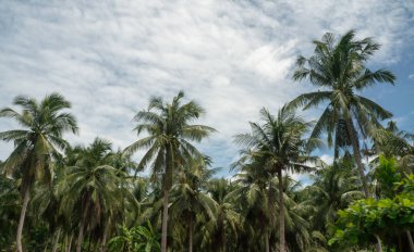 Gidiş-dönüş Tayland Temmuz 2017 - baraj pazarda Yüzme tekne turu