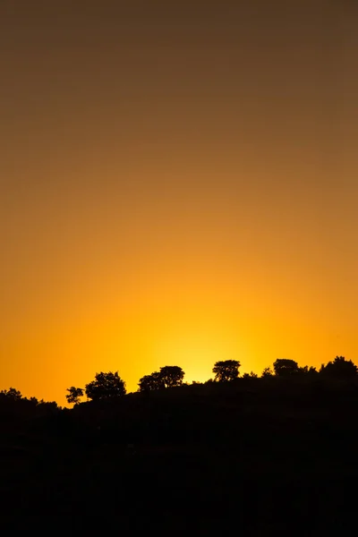 Profilo di alberi al tramonto, parco nazionale dell 'alta murgia, apulien, italien — Stockfoto