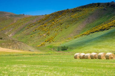 tipik bahar basilicata manzara