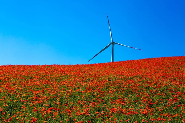 Větrné turbíny v typické Jarní krajina basilicata — Stock fotografie