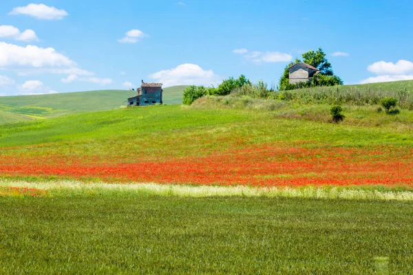 Typowy wiosenny basilicata krajobraz — Zdjęcie stockowe