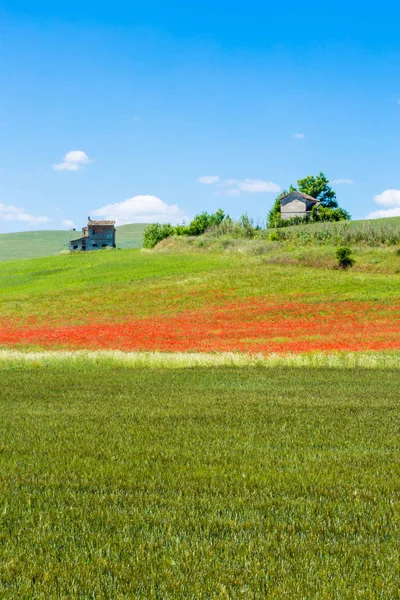 Typiska springtime basilicata landskap — Stockfoto