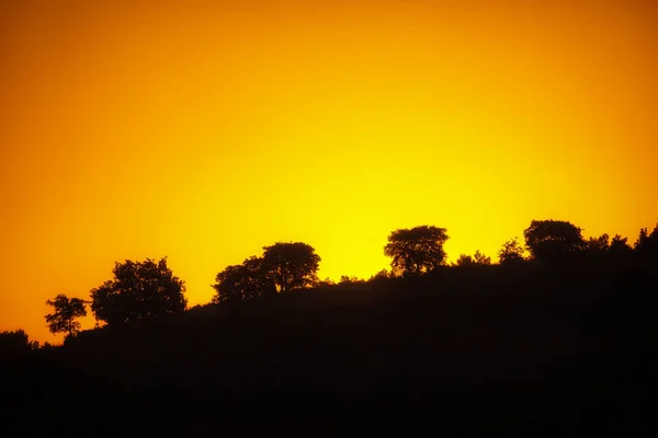 Vegetation bei Sonnenuntergang in einem abfallenden Hang des Nationalparks o — Stockfoto