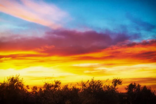 Vegetazione al tramonto in pendenza del parco nazionale o — Foto Stock