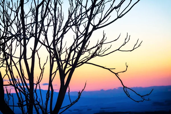 Roślinność o zachodzie słońca w pochyłym stoku o park narodowy — Zdjęcie stockowe