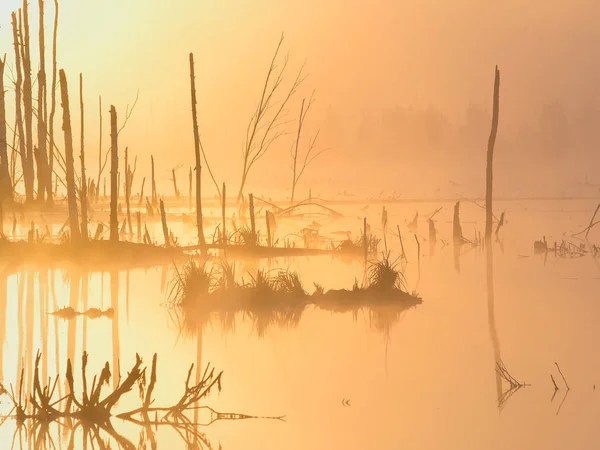 Neblige Morgendämmerung auf den Seen — Stockfoto