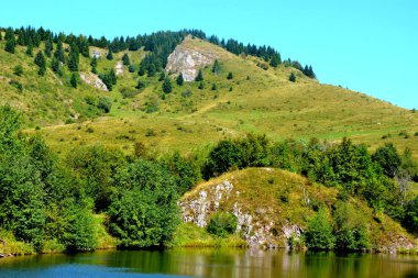 Tipik peyzaj Transilvanya, Romanya'nın ormanlarda. Yeşil manzara yaz ortasında güneşli bir gün içinde. Apuseni Dağları.