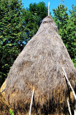 Samanlıkta. Transilvanya, Romanya ovalarında tipik kırsal manzara. Yaz ortasında güneşli bir gün içinde yeşil manzara