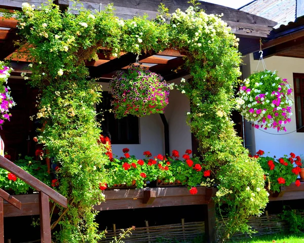 Visitando Monasterio Sinca Veche Fagaras Rumania — Foto de Stock