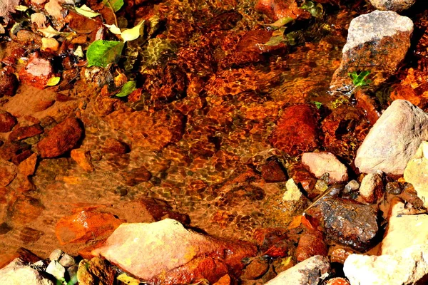 Řeka Rosia Montana Obec Týnici Pohoří Apuseni Západní Sedmihradsko Rumunsko — Stock fotografie