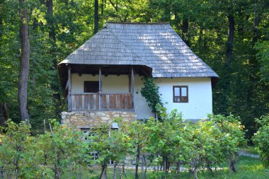 Köylü Dumbrava Sibiului, Transilvanya müzede. Dumbrava Sibiului; Romanian köylü Museum birçok adet envanter bir köylü ile.