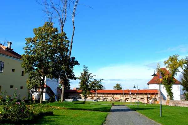 Paisaje Urbano Típico Ciudad Rumana Targu Mures Transilvania Rumania — Foto de Stock