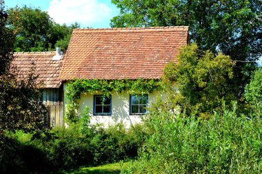 Tipik kırsal manzara Sakson köyü Malancrav, Transilvanya, Romanya