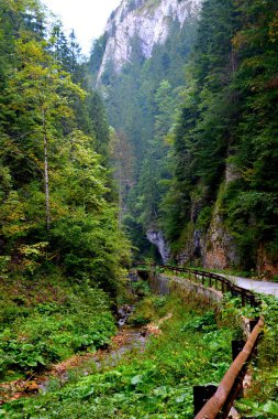  Apuseni Dağları, Transilvanya, Western Romen Karpatlar ait peyzaj. Yaklaşık 400 mağaralar Apuseni dağlar var