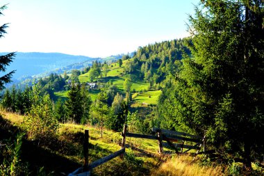 Apuseni dağlar Transilvanya, Romanya, Romence Occidentali olarak da bilinir Western Romen Karpatlar ait bir dağ aralıktır. Yaklaşık 400 mağaralar Apuseni dağlar var.