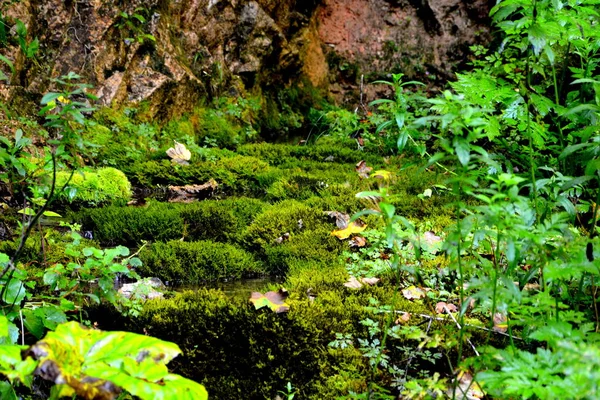 Paisaje Las Montañas Apuseni Transilvania Que Pertenece Los Cárpatos Rumanos —  Fotos de Stock