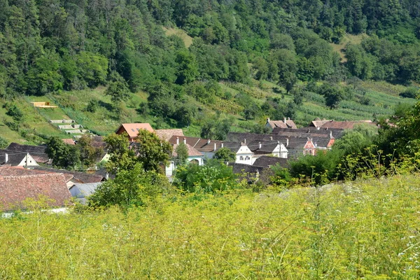 Paysage Rural Typique Dans Village Saxon Malancrav Transylvanie Roumanie — Photo