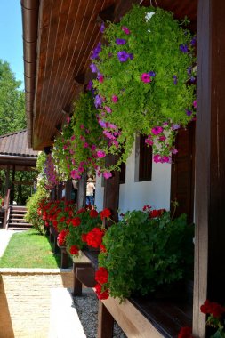  Manastır Sinca Veche, Fagaras ziyaret etti. Çevre Fagaras çok ziyaret edilen bir manastır, Sinca Veche olduğunu..