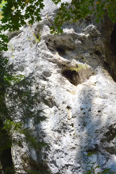 Ποταμού Και Τον Καταρράκτη Τοπίο Στο Βουνό Τρανσυλβανία Οποία Ανήκει — Φωτογραφία Αρχείου