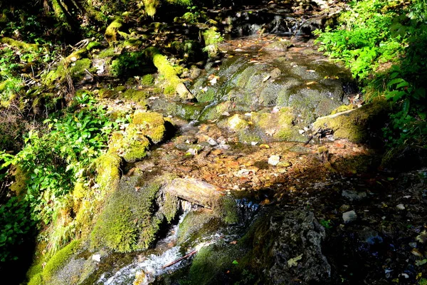 Krajina Pohoří Apuseni Transylvánie Která Patří Rumunské Západní Karpaty Neboli — Stock fotografie