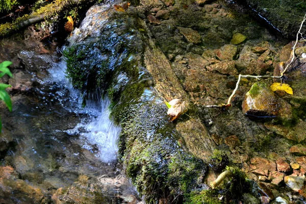 Fluss Und Wasserfall Landschaft Apuseni Gebirge Siebenbürgen Das Den Westrumänischen — Stockfoto