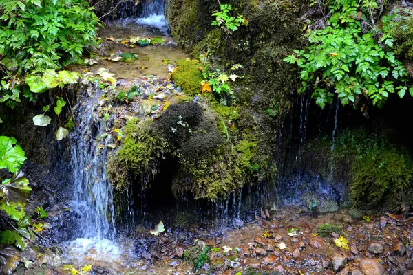 Rivier Waterval Landschap Het Apusenigebergte Transsylvanië Die Tot Western Roemeense — Stockfoto