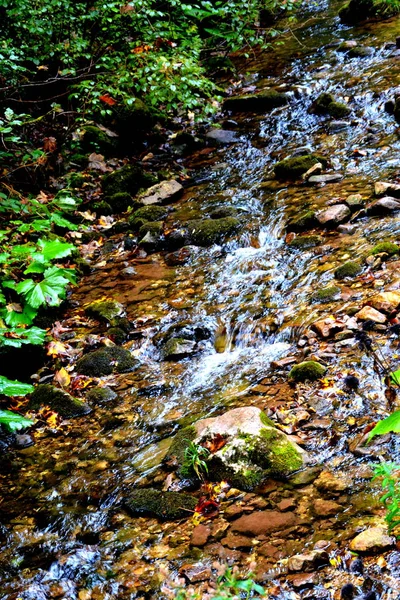 Fiume Cascata Paesaggio Nelle Montagne Apuseni Transilvania Che Appartiene Carpazi — Foto Stock