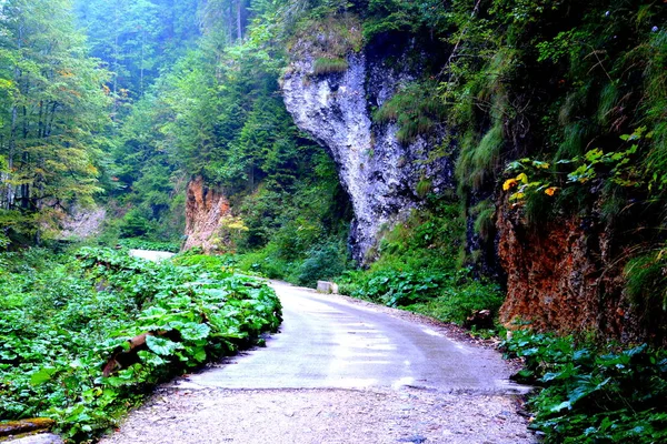 Paso Odancusii Paisaje Las Montañas Apuseni Transilvania Que Pertenece Los — Foto de Stock