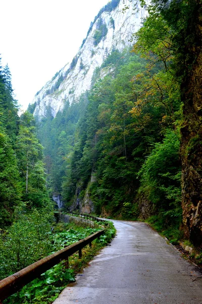 Odancusii Pass Landskap Apuseni Bergen Transsylvanien Som Tillhör Western Rumänska — Stockfoto