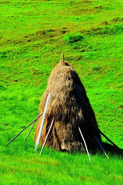 Haystack Paisagem Nas Montanhas Apuseni Transilvânia Que Pertence Aos Cárpatos — Fotografia de Stock