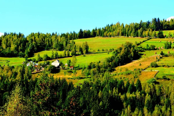 Пейзаж Горах Апушени Трансильвания Который Принадлежит Западным Румынским Карпатам Называется — стоковое фото