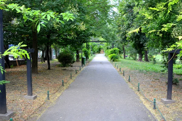 Typowy krajobraz miejski w centrum Bukaresztu - Bucuresti. Park Cismigiu. — Zdjęcie stockowe