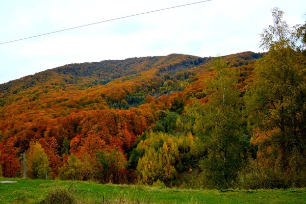 Paysage Dans Les Montagnes Apuseni Transylvanie Qui Appartient Aux Carpates — Photo