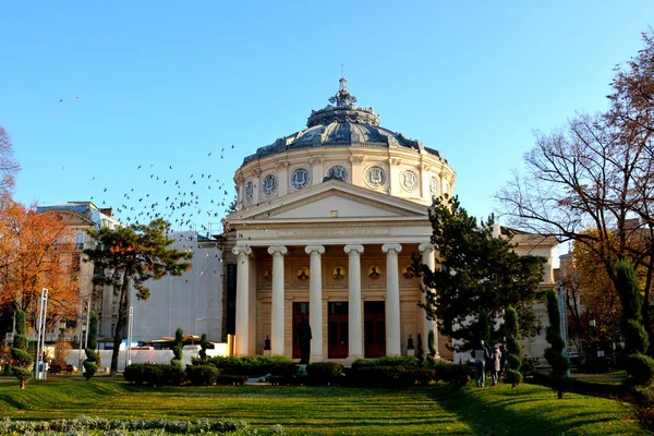 Atheneum Typowy Krajobraz Miejski Centrum Bukaresztu Bucuresti Bukareszt Jest Stolicą — Zdjęcie stockowe